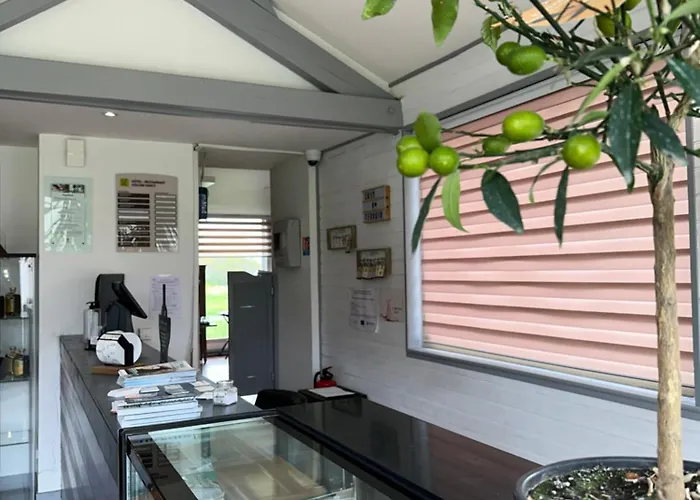 Logis Hotel Volcan Sancy