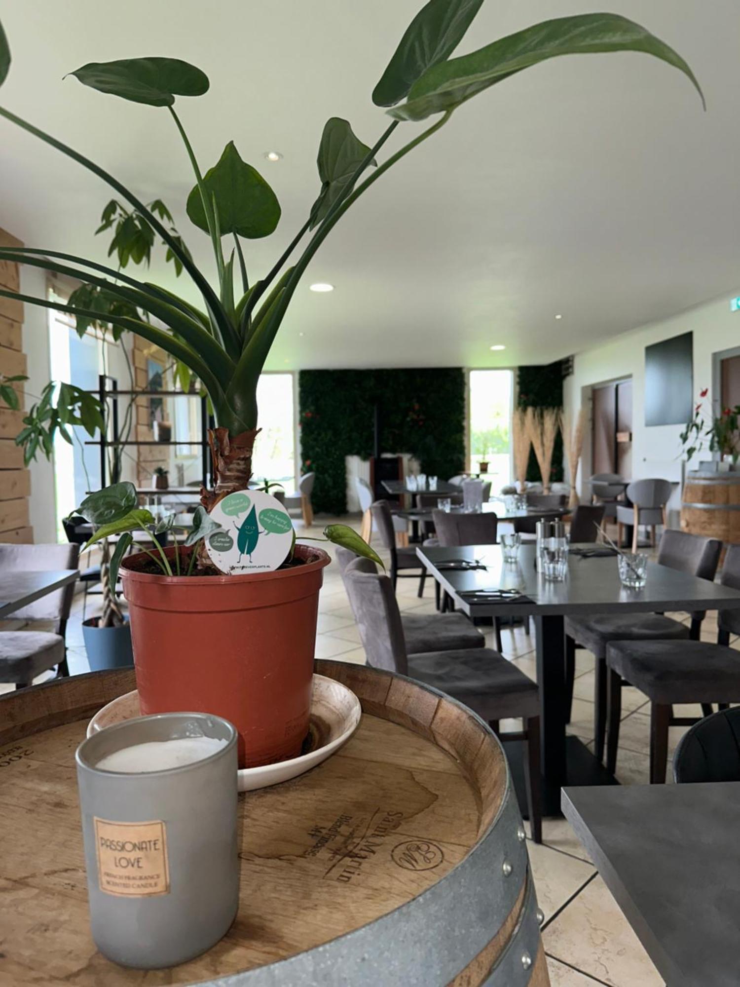 Hotel Logis Volcan Sancy Nebouzat